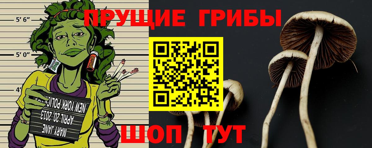 Галлюциногенные грибы мицелий Унеча